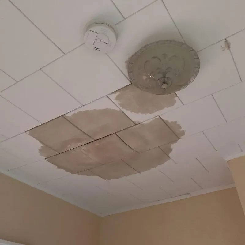 Ceiling Water Damage Repair in Pine Island, MN